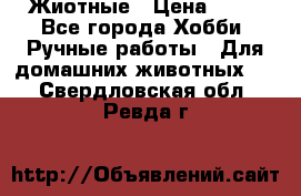 Жиотные › Цена ­ 50 - Все города Хобби. Ручные работы » Для домашних животных   . Свердловская обл.,Ревда г.